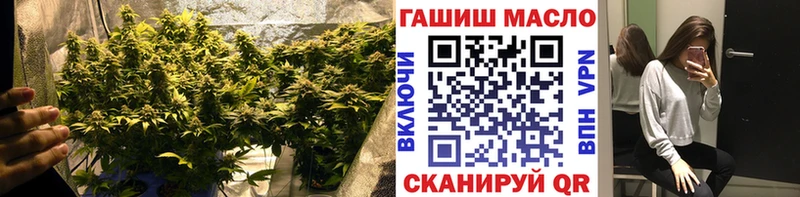 Дистиллят ТГК Wax  Купить закладки  Злынка 