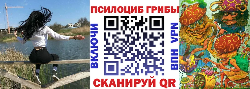 Галлюциногенные грибы MAGIC MUSHROOMS  Купить закладки  Злынка 